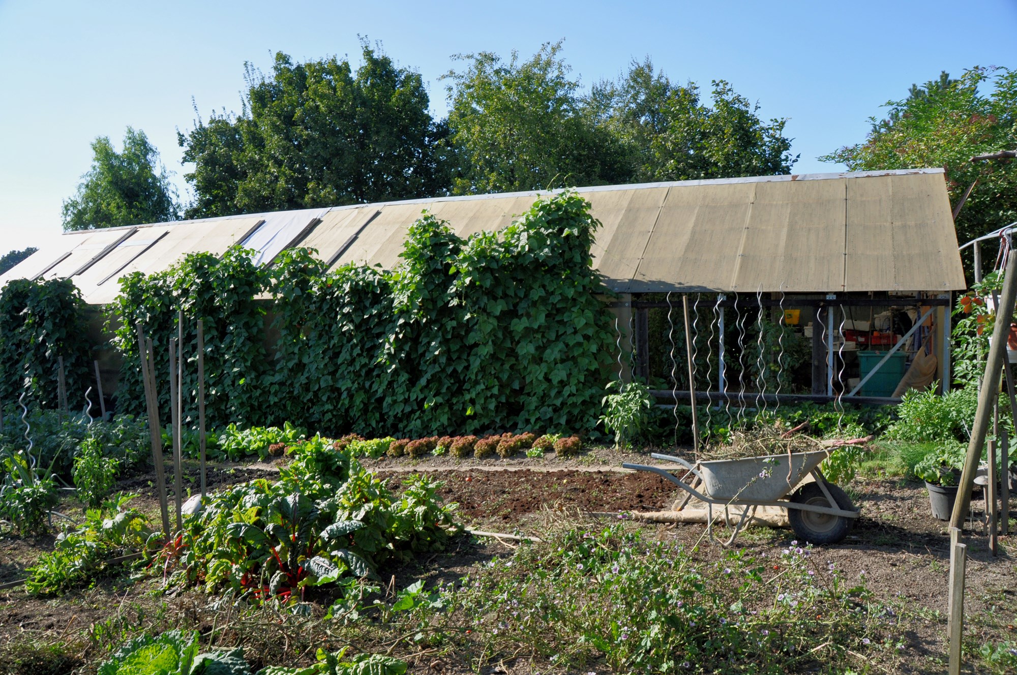 Greenhouse