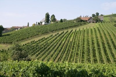 Thermenland+Weinstrasse