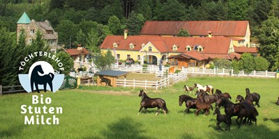weiz-toechterlehof-stutenmilch