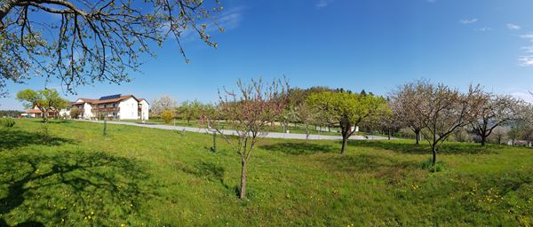 fruehling-hotel-natur-apfelbluete-teuschlermogg (7)